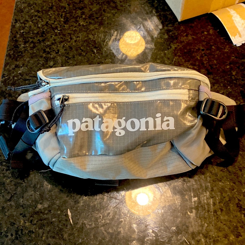 Patagonia Waist Pack
